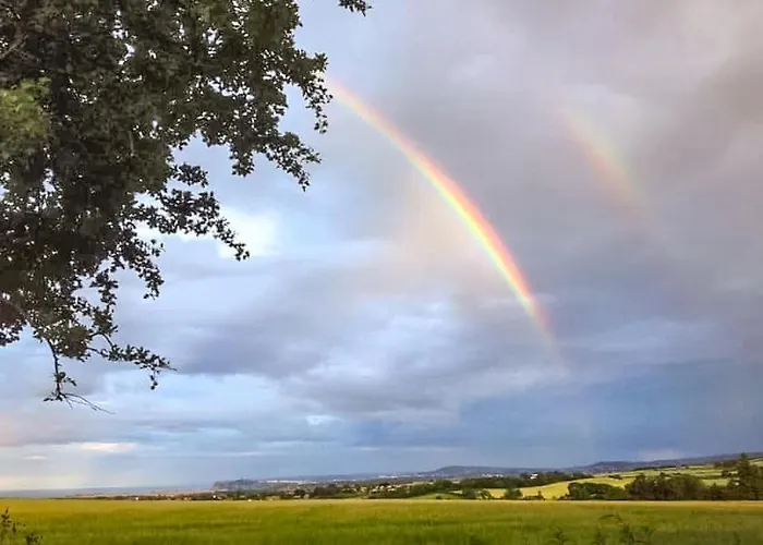 Spacious Family And Pet Friendly With Sea Views *